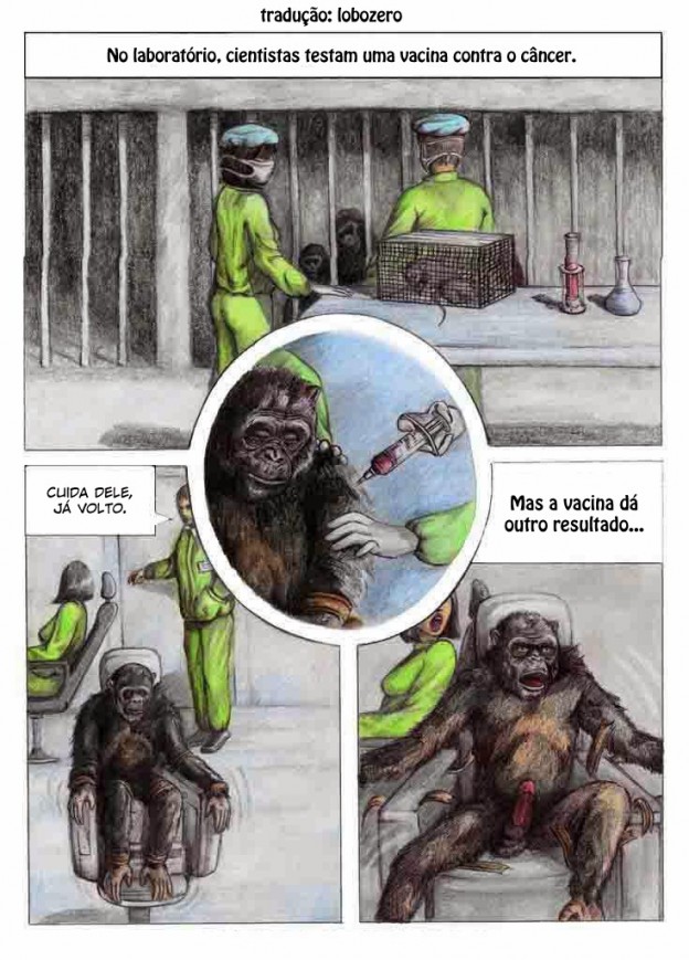 Macaco taradão – HQ