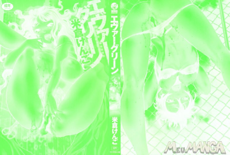 Ever Green Shinsouban #01